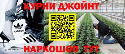 дживик Будённовск