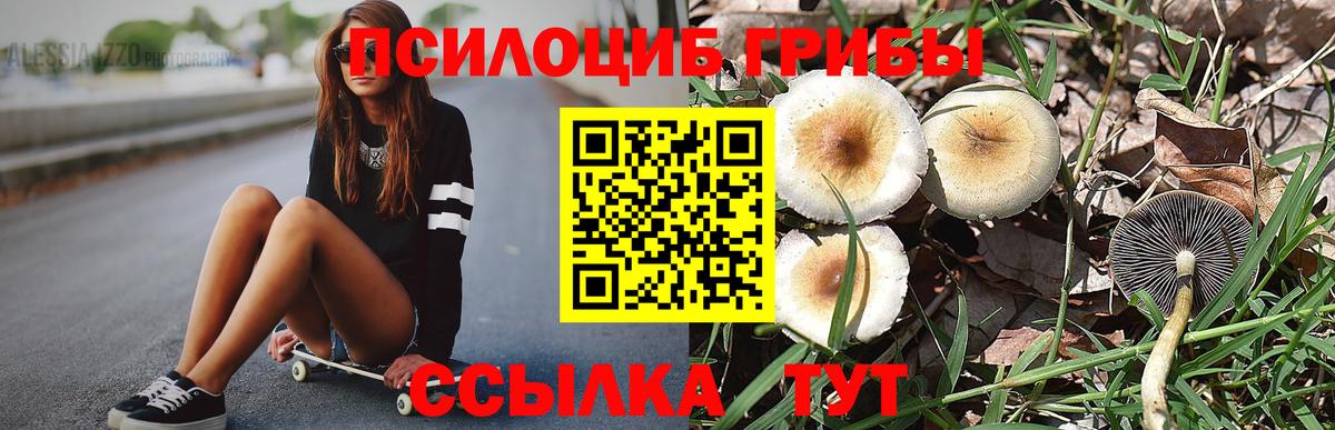 Наро-Фоминск  Псилоцибиновые грибы Magic Shrooms  Вход с VPN 